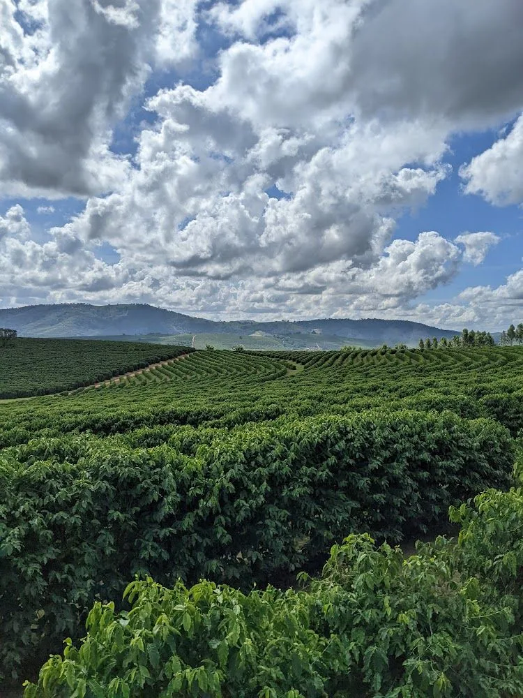 Brazil_OriginTrip_Pedra Grande