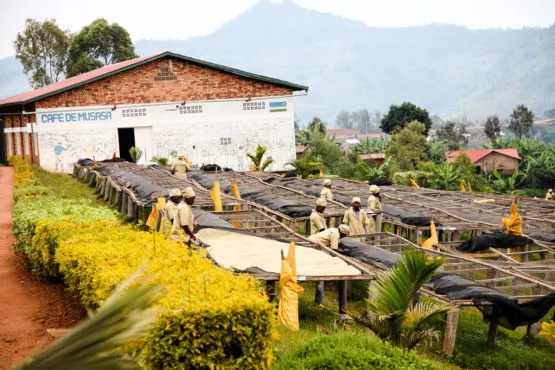 RAMBAGIRAKAWA_processing