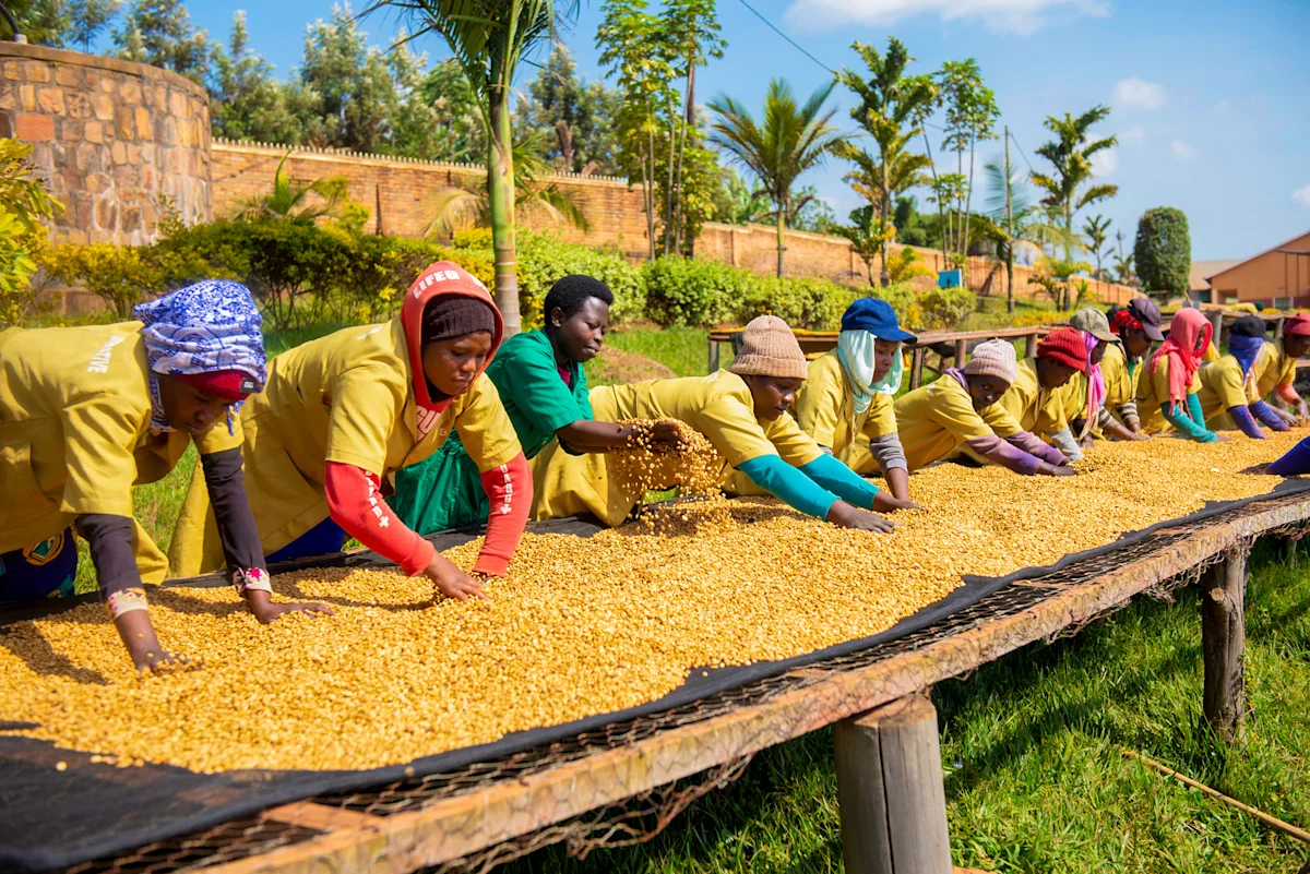 RAMBAKIRAGAWA_sorting