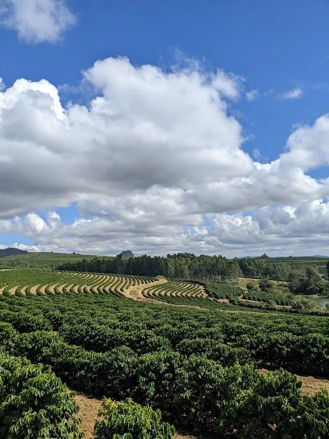 Brazil_OriginTrip_FazendaPedraGrande